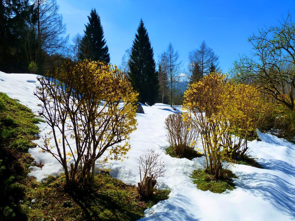 זלצבורג Romantikhotel Die Gersberg Alm מראה חיצוני תמונה
